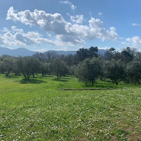 Landi Villa Lucca